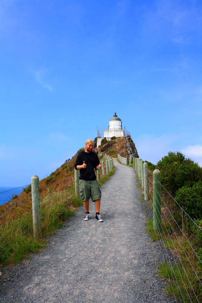 Nugget Point 2