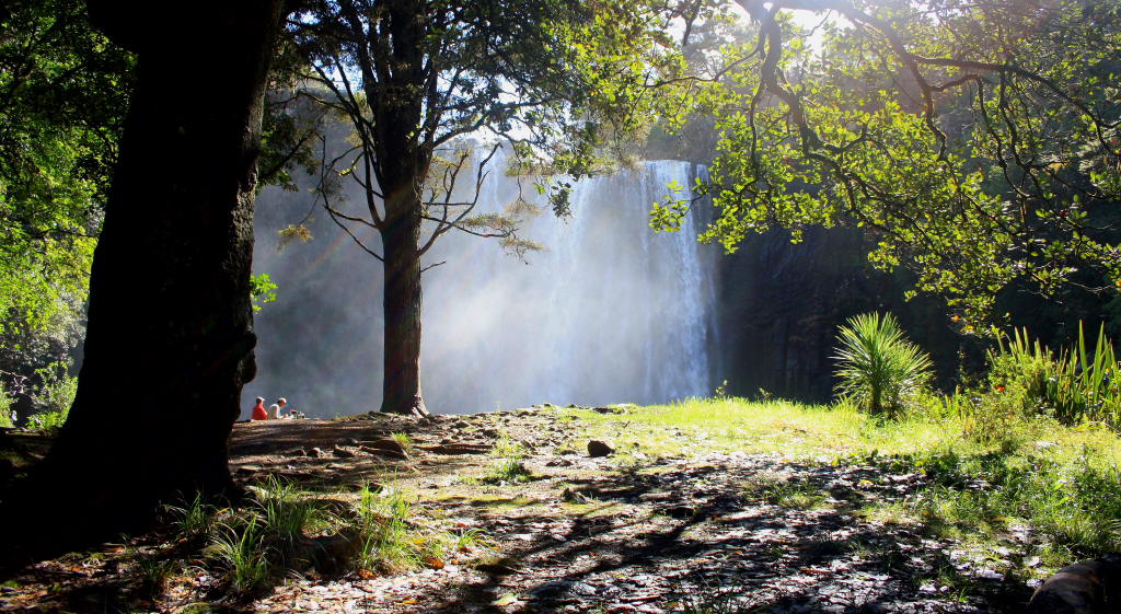 Whangarei falls 5